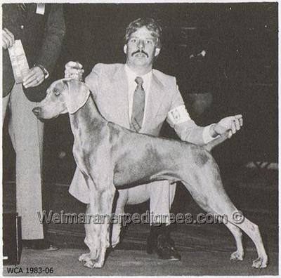 Image of Silversmith Harbor Pilot