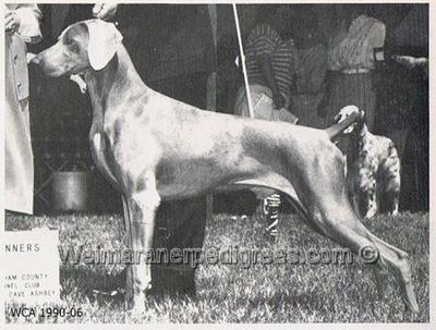 Image of Katakam's Firestarter