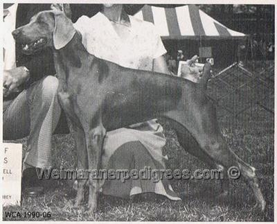 Image of Lady Sarah of Camelot