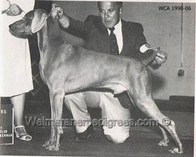 Image of Shomar's The Jazz Singer