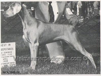 Image of Shomar's Caught In The Rapture