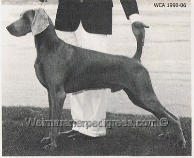 Image of Top Hat's Top Gun