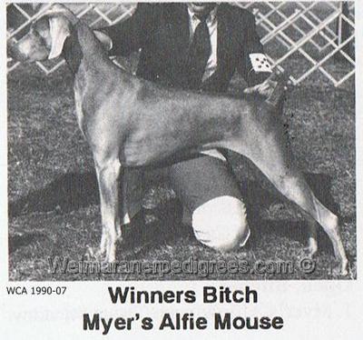 Image of Myer's Alfie Mouse