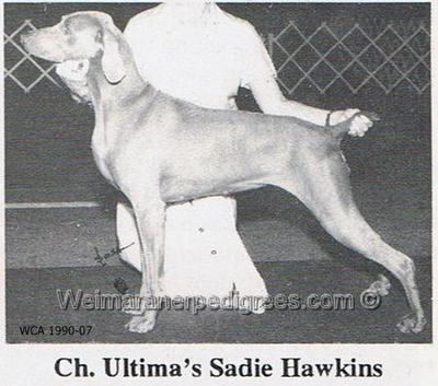Image of Ultima's Sadie Hawkins