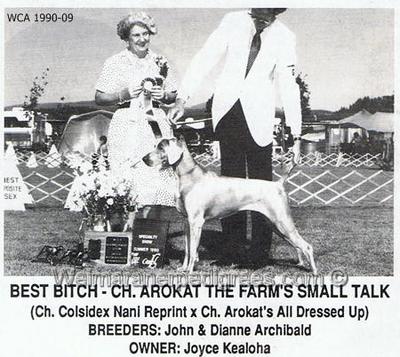 Image of Arokat's the Farm's Small Talk