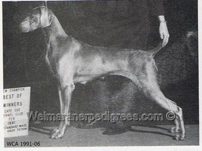 Image of Weltmeister Ain't Misbehavin