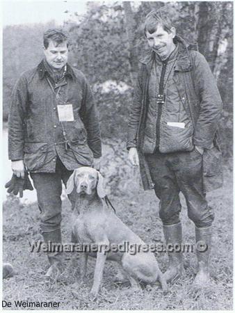 Image of Hares-Bas vom Reinhardswald