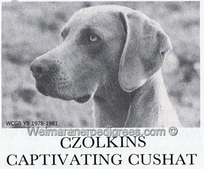 Image of Czolkins Captivatin Coshat