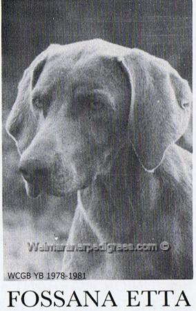 Image of Fossana Etta