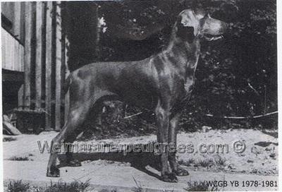 Image of Hurstlem Hesketh