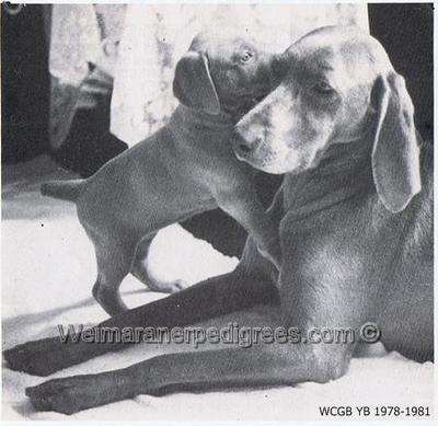 Image of Phayreheidi Harmony of Hillmist