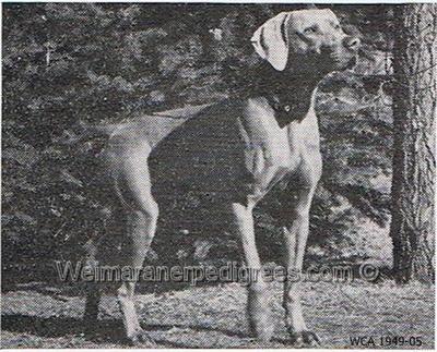 Image of Apoll Treu Hauentwiete