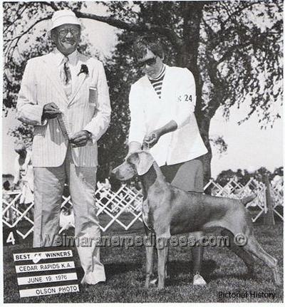 Image of Green Acres Cardi Curtain Call