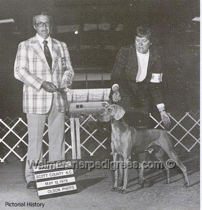 Image of Green Acres Cardi Show Stopper