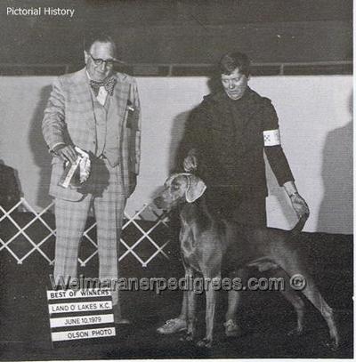 Image of The Farm's Country Air