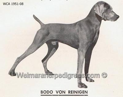 Image of Bodo von Reiningen