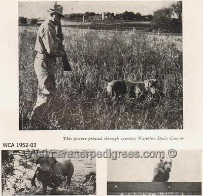 Image of Helmanhof's Sonata