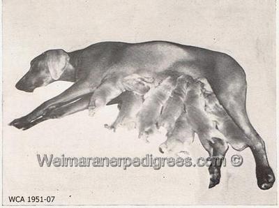 Image of Little Rockette of Rockledge