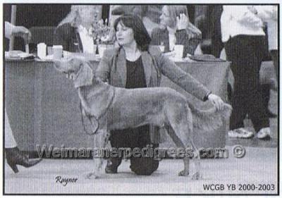 Image of Charmist Infinity At Thrihyrne