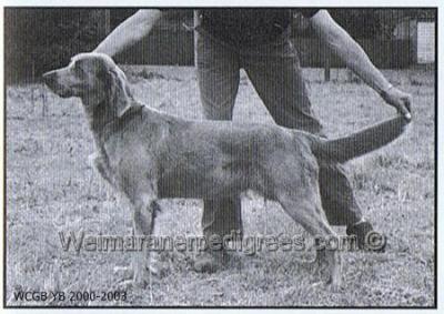 Image of Ranaran Annabella at Thrihyrne