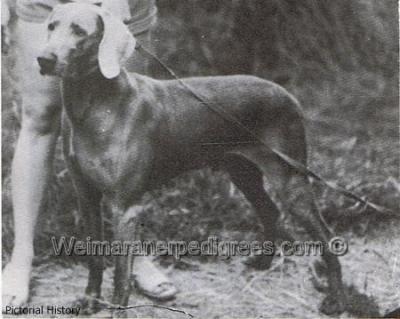 Image of Nordsee's Illustrious Ivan