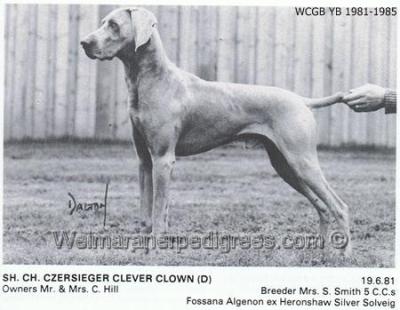 Image of Czersieger Clever Clown