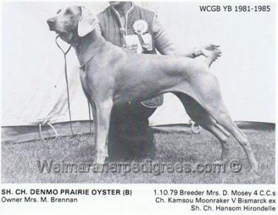 Image of Denmo Prairie Oyster