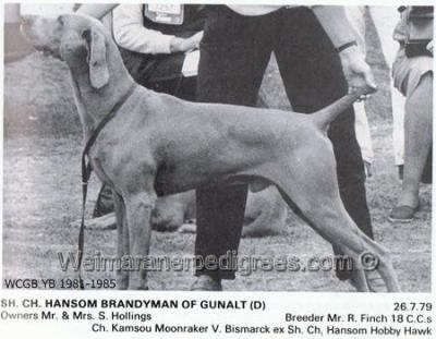 Image of Hansom Brandyman of Gunalt