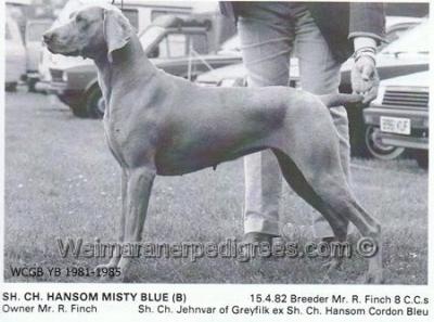 Image of Hansom Misty Blue