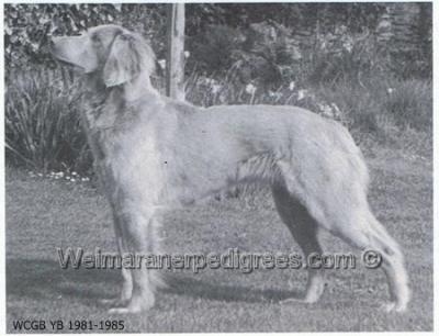 Image of Hawsvale White Beam