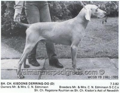 Image of Kisdon's Derring Do