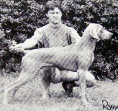 Image of Bulphan Songster of Greyshot