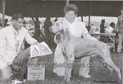 Image of Suddan's Silver Splendore