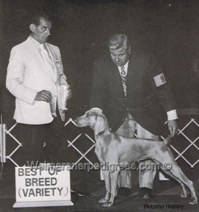 Image of Reveille von Tadellos