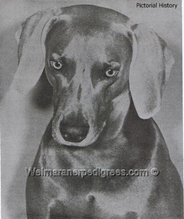 Image of Duke Galusha The Magnificent