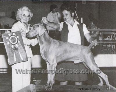 Image of WC's The Dynamic Dagowheel