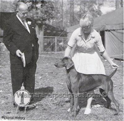 Image of Wetobe's Bon Bon Bonnet