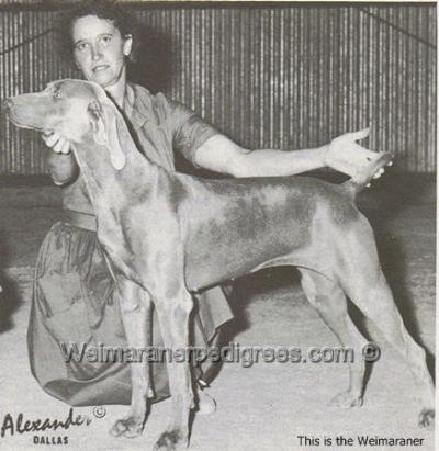 Image of Miss Deborah of Wetobe