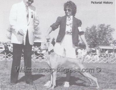 Image of Kristof's Velvet Touch