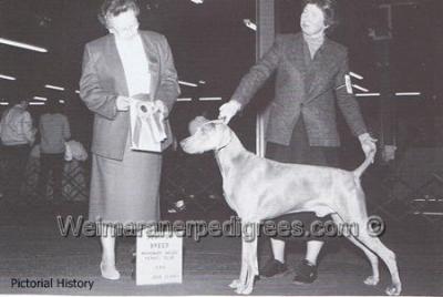 Image of Weltmeisters Sweet Revenge