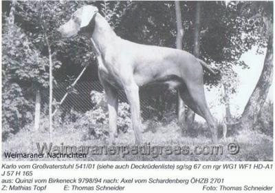 Image of Karlo vom Grossvaterstuhl