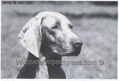 Image of Altsammit Isadora of Greyfilk