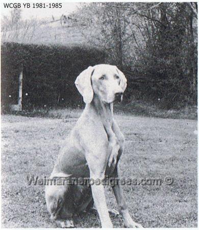 Image of Bredebeck Inka