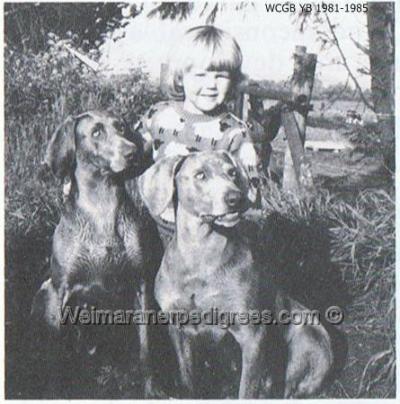 Image of Chardonyx Bellafonte Mistie