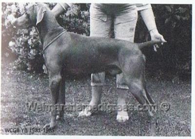 Image of Dan Y Lan Merry Madog