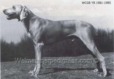 Image of Ivymoor Solid Silver