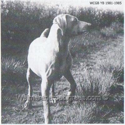 Image of Lullingstone Fontanella