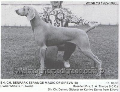 Image of Benpark Strange Magic of Sireva