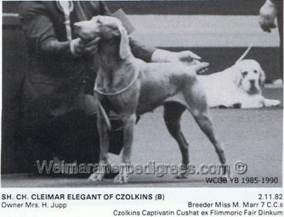 Image of Cleimar Elegant of Czolkins