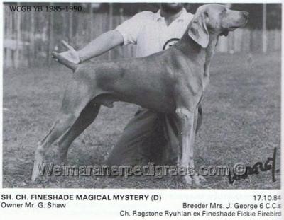 Image of Fineshade Magical Mystery